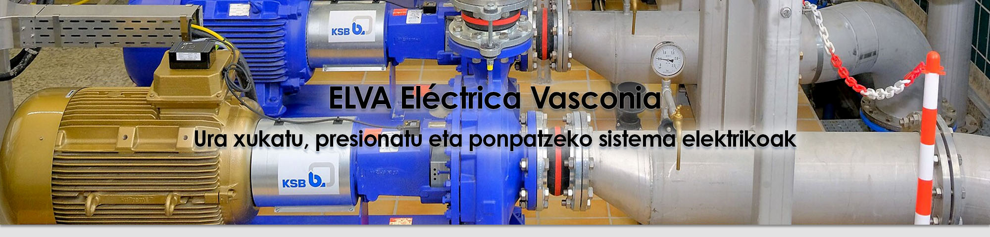 Elva Electrica Gipuzkoa - Bombas y Motores en Zarautz